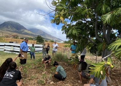 Stewardship in action - Haleakalā Farm