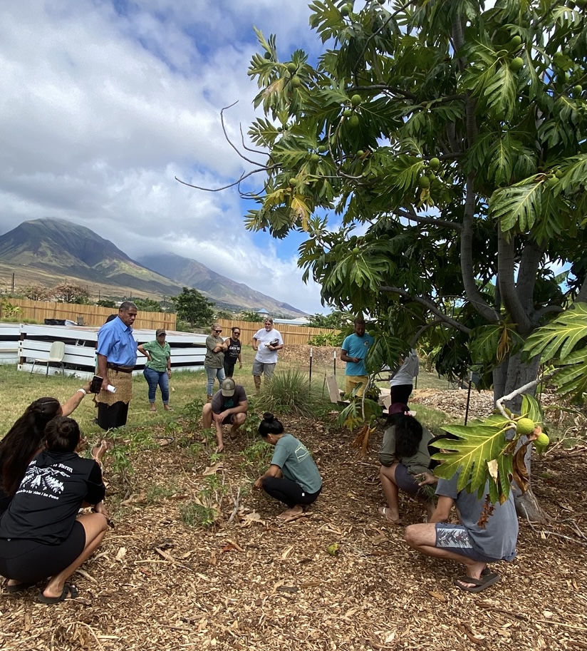 Stewardship in action - Haleakalā Farm